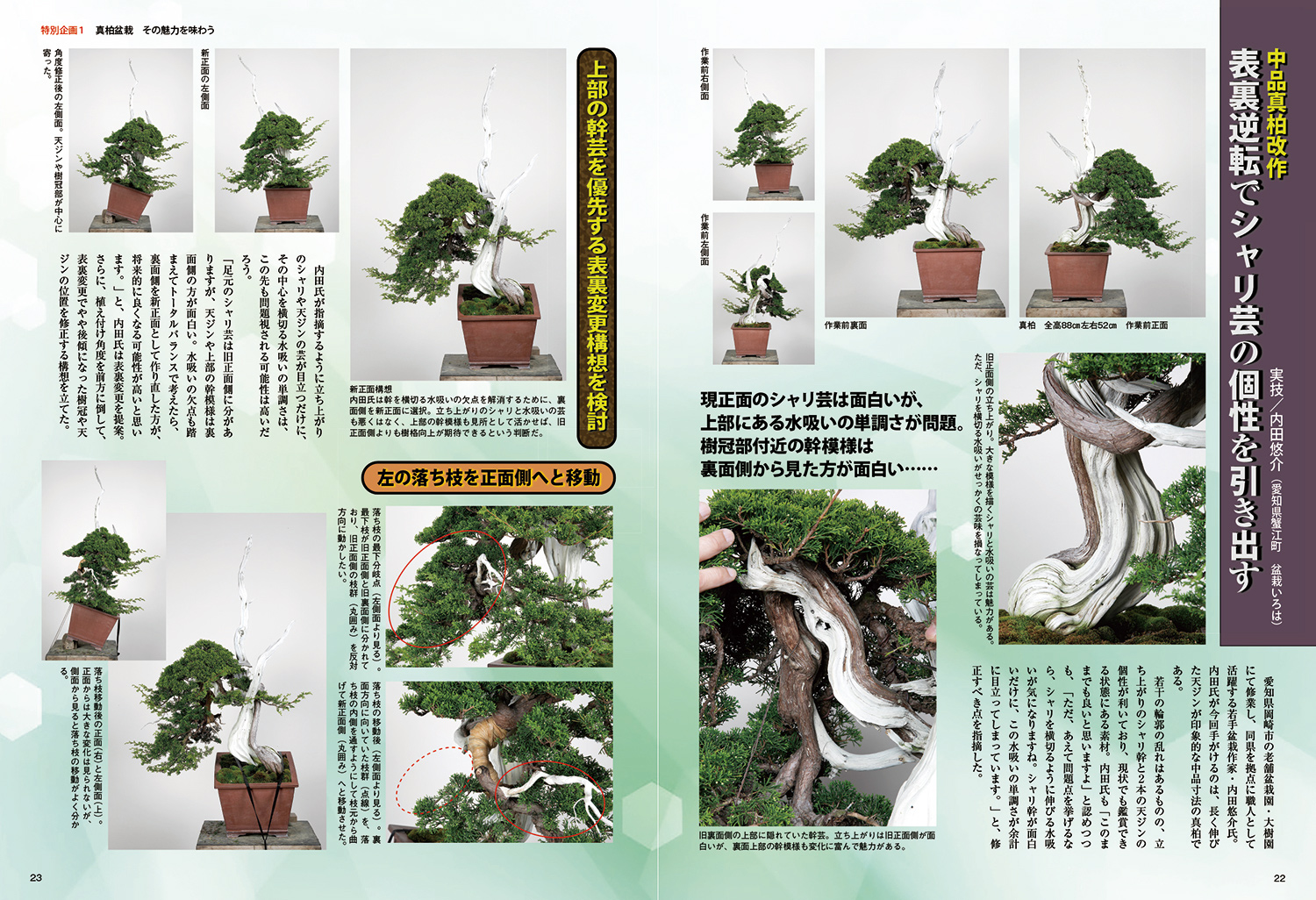 近代出版 編集部 Kinbon Bonsai Twitter