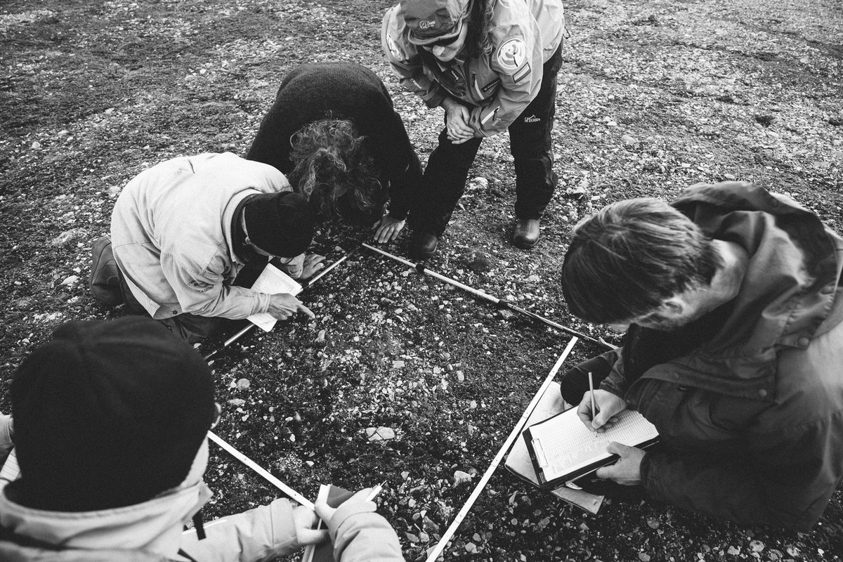 Maarten Loonen tweet media