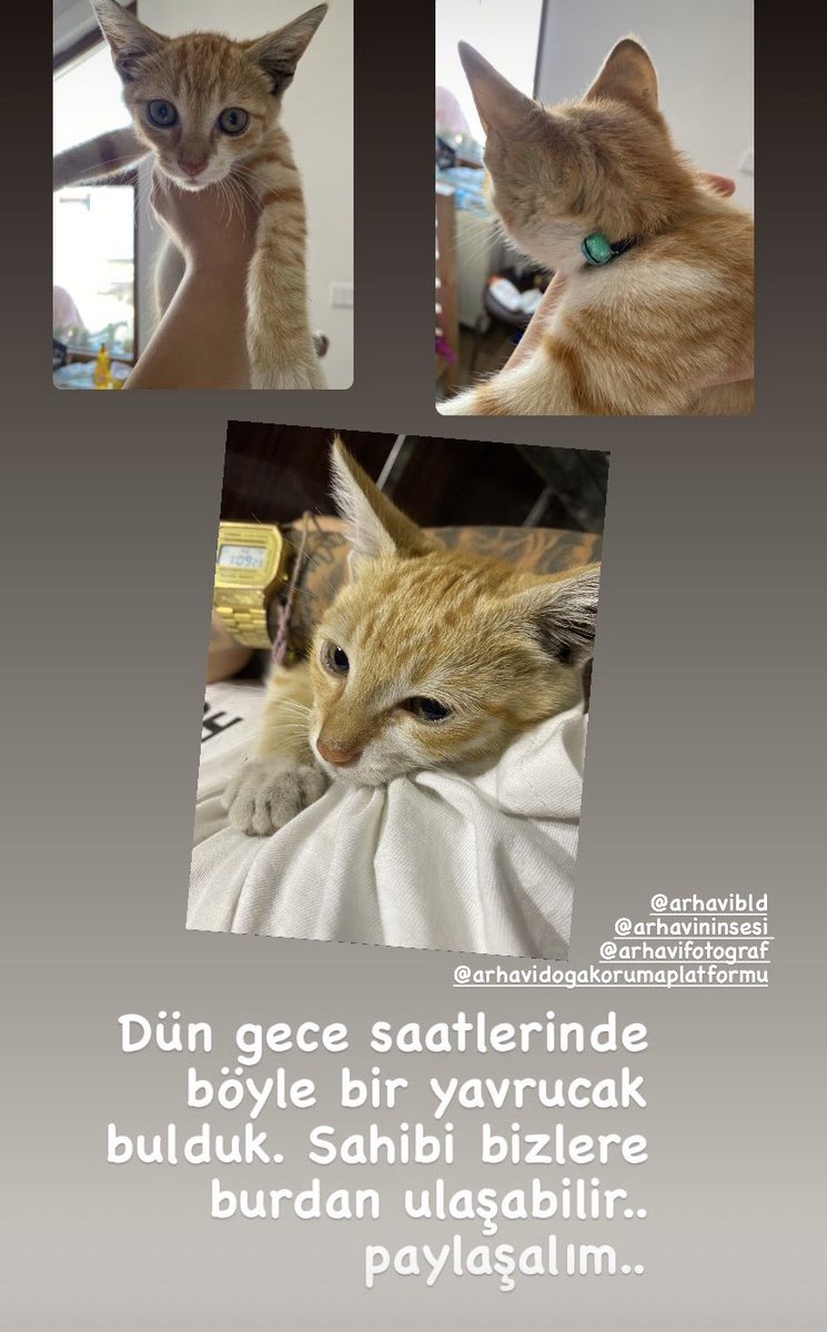 Aycani_'s tweet photo. @Arhavibel @adokop08 @arhavifotograf @arhavininsesi https://t.co/faOwMQqyA6