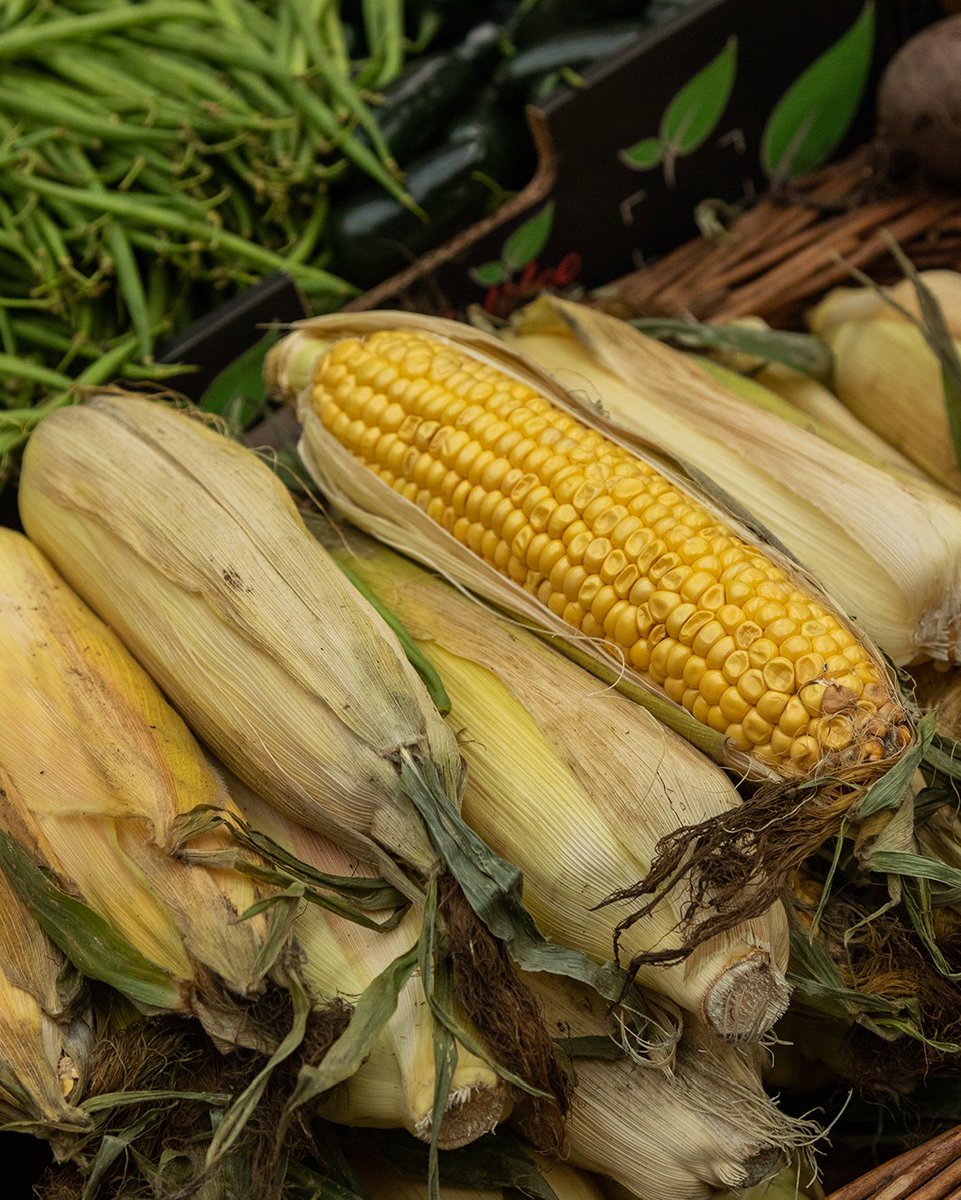 Good Sixty tweet media