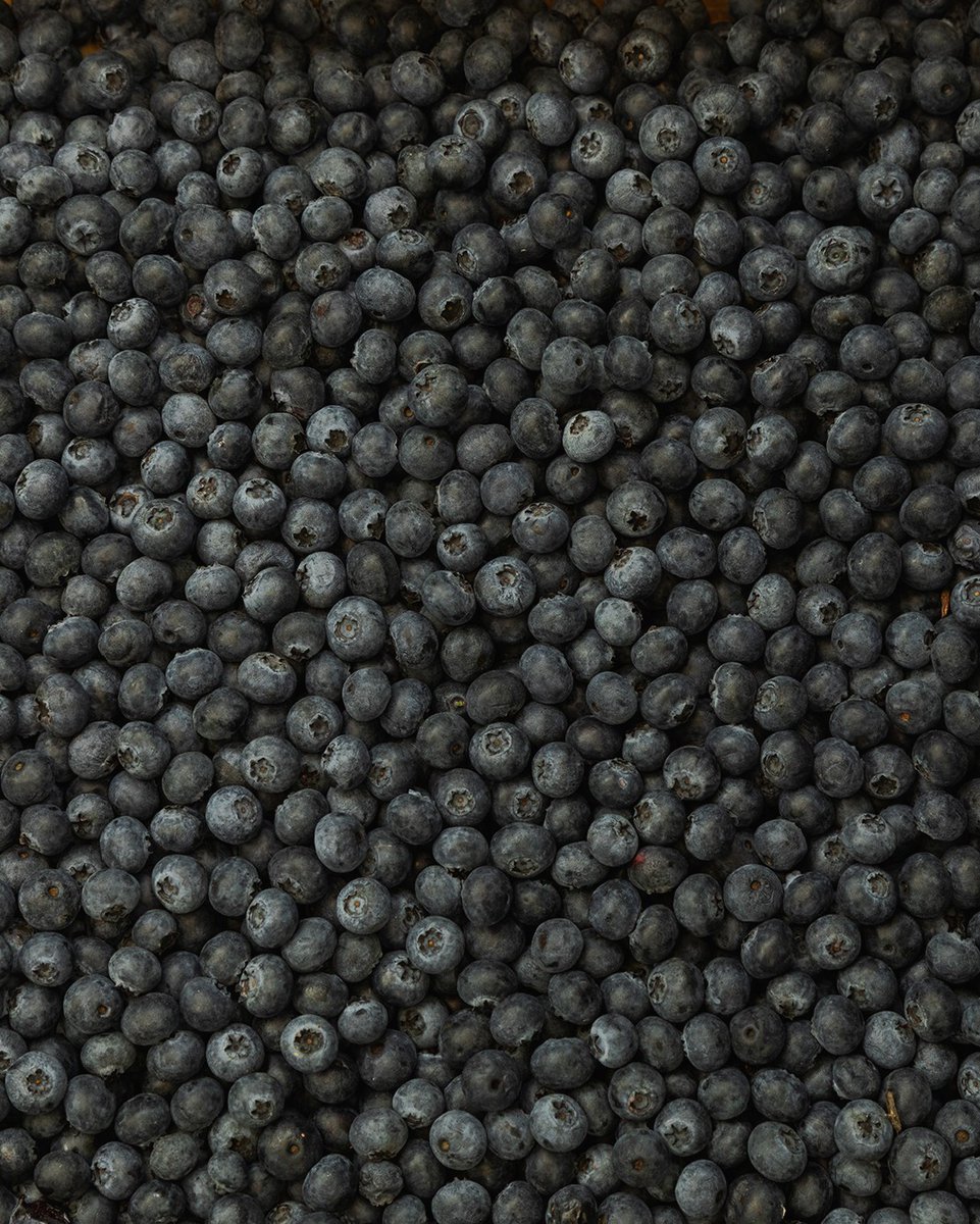 Good Sixty tweet media