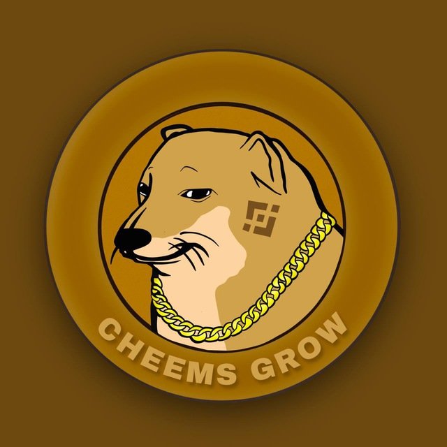 Rbbg16's tweet photo. @sofizamolo It's #CheemsGrow time https://t.co/sq3w9Qlpdz