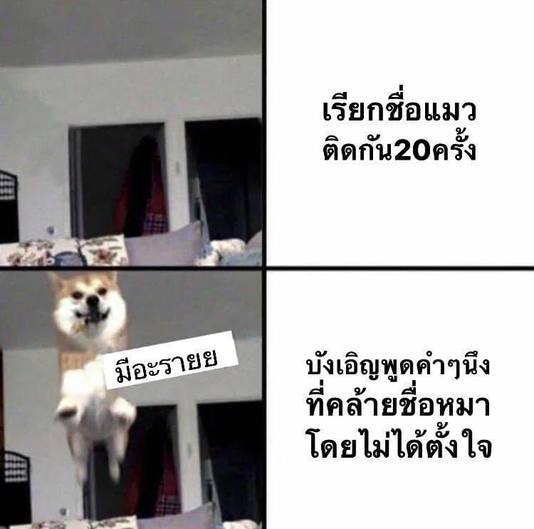 จริง!!! 55555555555555555