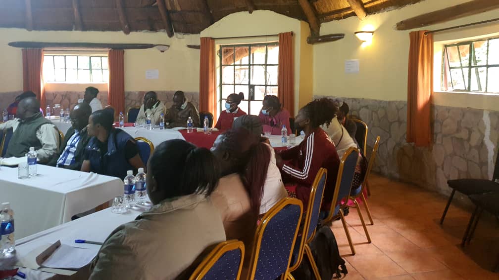 Inclusive Poultry Value Chain Zimbabwe tweet media