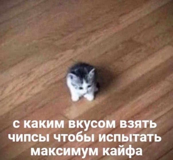 polypedick's tweet photo. https://t.co/2AS6ZjbZwE