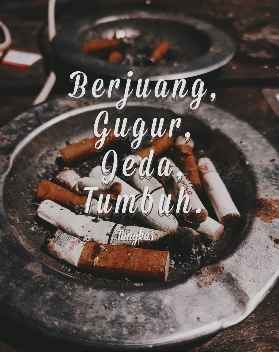 TangkasAp tweet picture