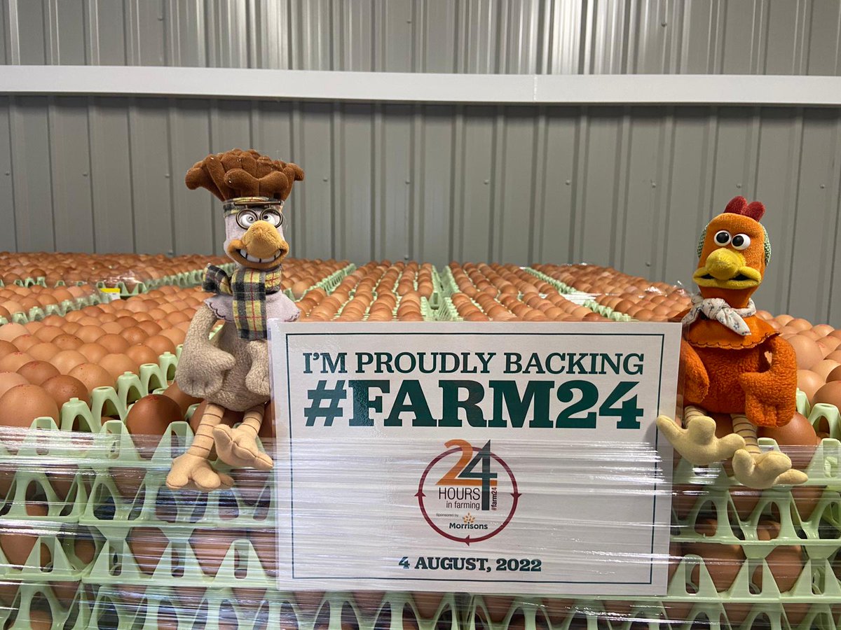 Chippindale Foods (@expertsineggs) on Twitter photo Proudly supporting #Farm24 <a href="/Morrisons/">Morrisons</a> Proudly supporting #Farm24 <a href="/Morrisons/">Morrisons</a>