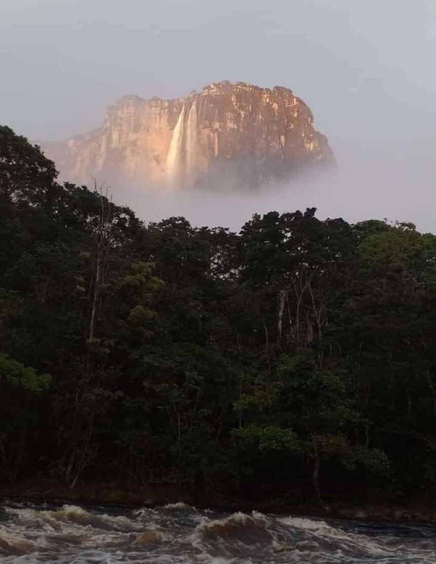 GianlucaCoccon1's tweet photo. Majestuosa…
LA MÁS ALTA DEL MUNDO 
Parque Nacional CANAIMA…Bolívar 🇻🇪🇻🇪🇻🇪🇻🇪🇻🇪🇻🇪🇻🇪🇻🇪🇻🇪🇻🇪🇻🇪🇻🇪🇻🇪 https://t.co/zwgWzvqYBY