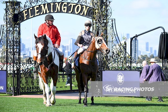 Elite Racing Solutions tweet media