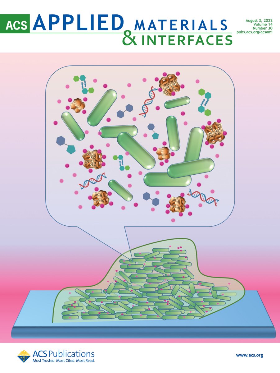 Eoin Casey (@eoin_casey_ucd) on Twitter photo Our @scienceirel funded work is featured on the
<a href="/ACS_AMI/">ACS Applied Materials & Interfaces</a> cover. doi.org/10.1021/acsami…
<a href="/UCD_Research/">UCD Research</a> <a href="/steff_vitale/">Stefania Vitale</a> <a href="/ACS4Authors/">ACS for Authors</a> Our @scienceirel funded work is featured on the
<a href="/ACS_AMI/">ACS Applied Materials & Interfaces</a> cover. doi.org/10.1021/acsami…
<a href="/UCD_Research/">UCD Research</a> <a href="/steff_vitale/">Stefania Vitale</a> <a href="/ACS4Authors/">ACS for Authors</a>