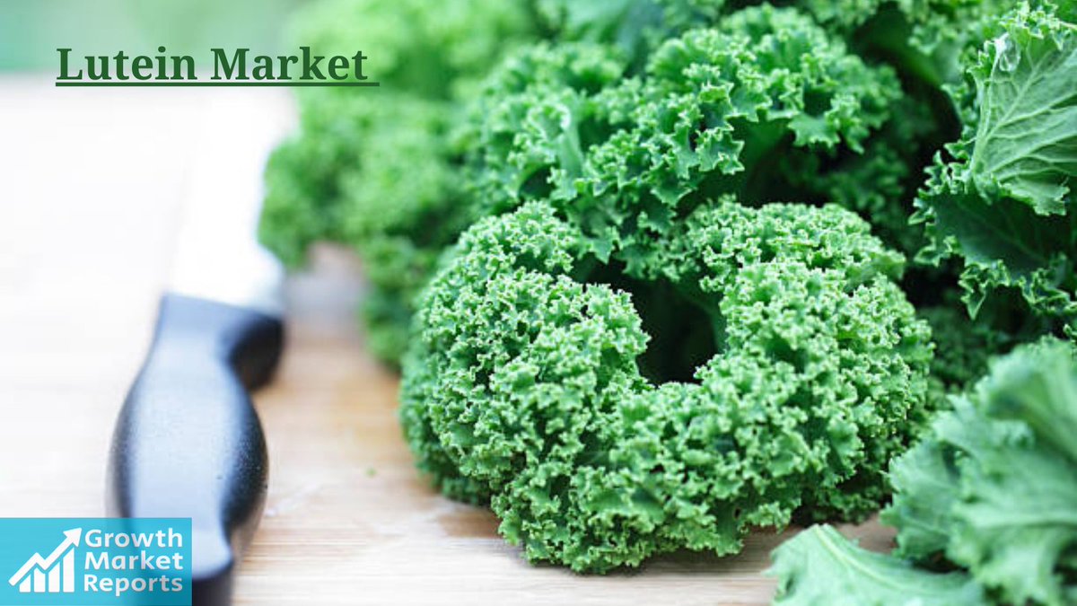 77_shraddha's tweet photo. The growth of the market is attributed to the rising demand for diet supplements, particularly for #eyecare. >> https://t.co/8aDDzKw5im

@Chr_Hansen @corp_biotech @KeminInd @BASF @OmniActive_Life #USA #food #supplements #health #healthy #marketresearch #Mexico https://t.co/N5Fzdiq1Mt
