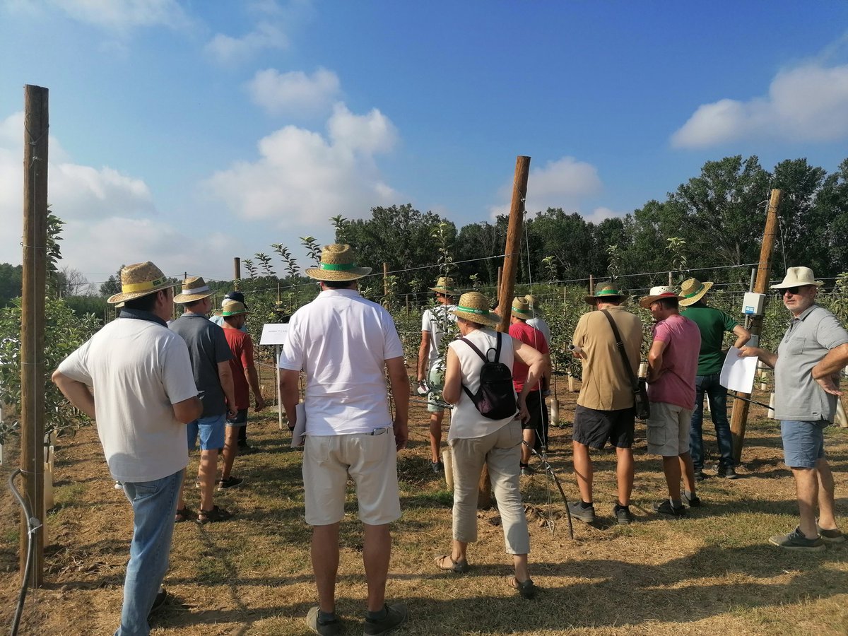 pomadegirona's tweet photo. Productors de Poma de Girona assistim a la Jornada Fructicola d'Estiu de l'IRTA Mas Badia on un equip de professionals ens donen respostes als reptes que tenim al nostre sector.
🚜👨🌾👩🌾
#innovacio
#qualitat
#sostenibilitat
#proximitat
#km0
#alimentsdorigen https://t.co/bOyI7g89gw