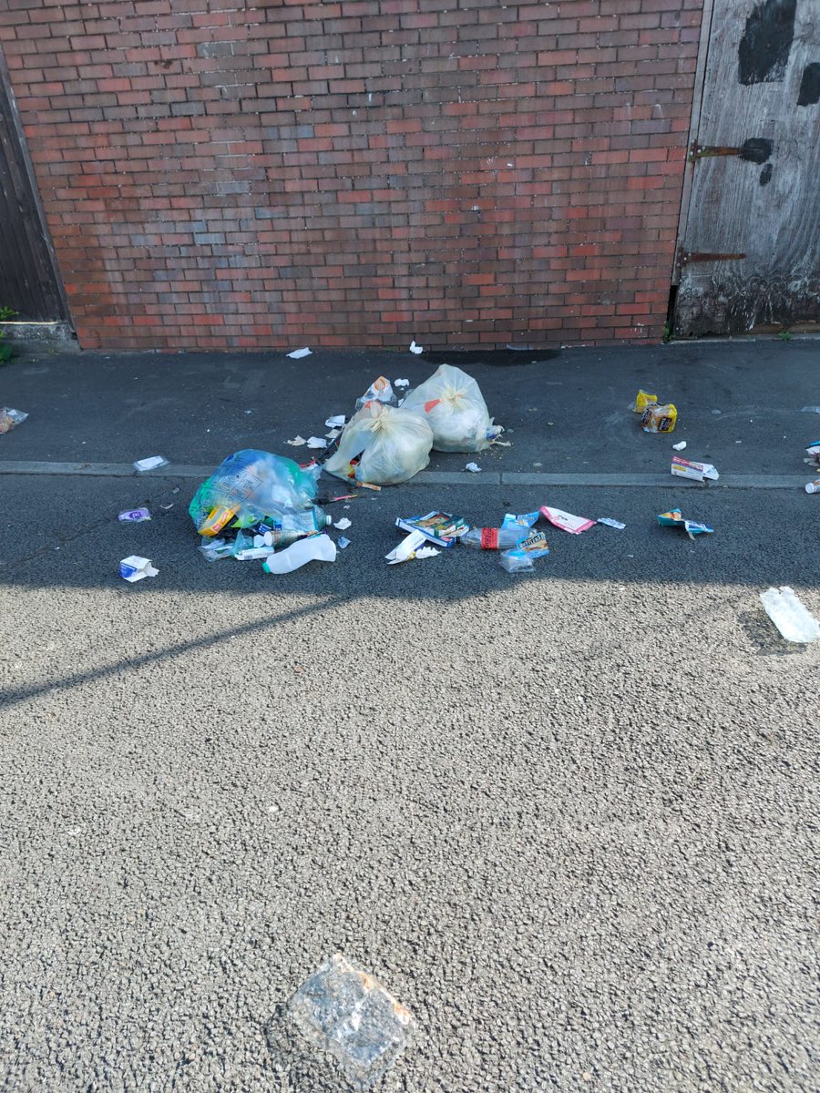 Thread..... As volunteers, we try our very best to keep the streets of Splott clean, but this is what we face on a daily basis. Most of the unsightly mess comes from this type of incorrectly presented bin bags. Today is recycling and food waste, not general waste day.