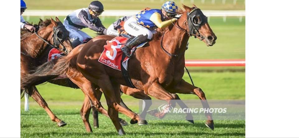 Elite Racing Solutions tweet media