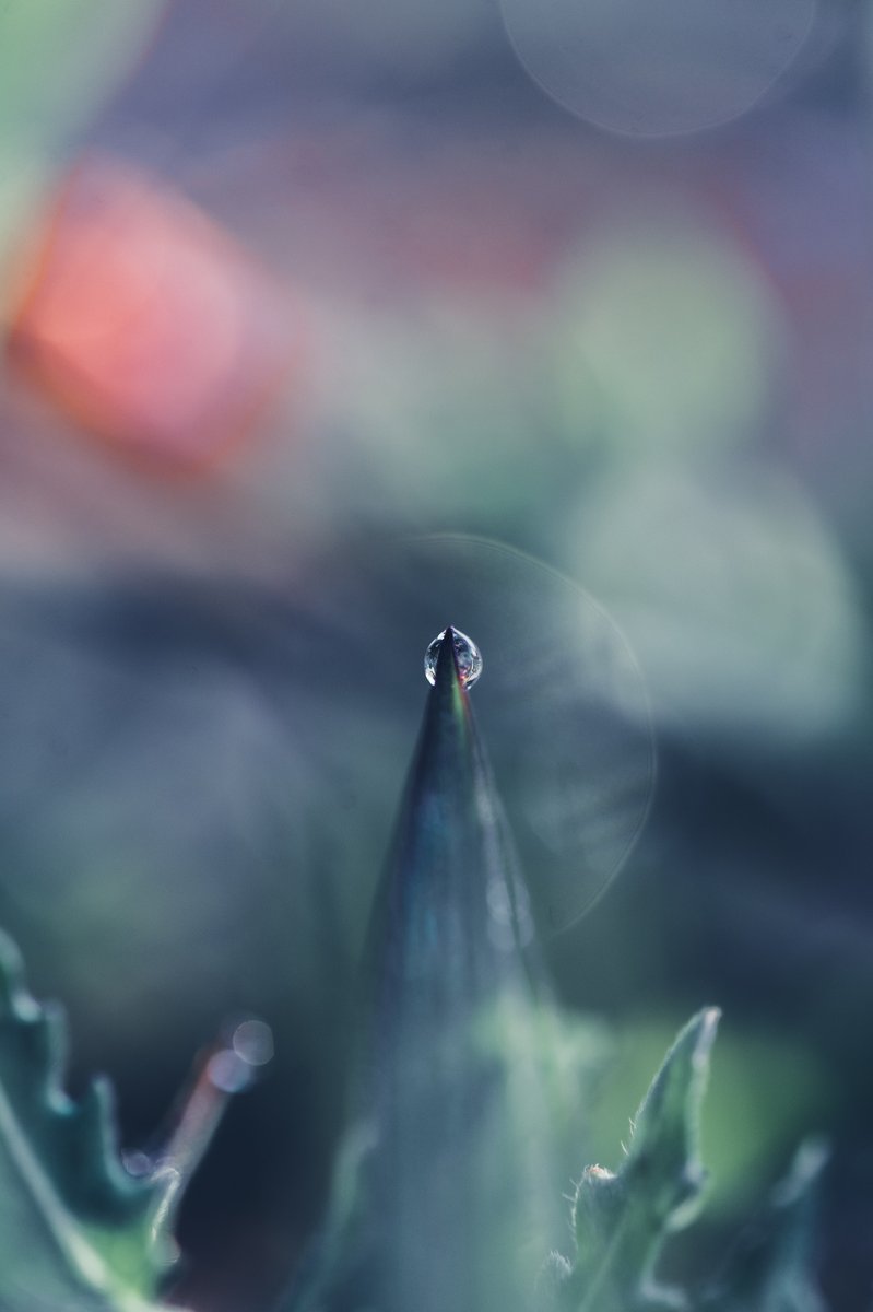 密。 (@corbeau_noir__) on Twitter photo 