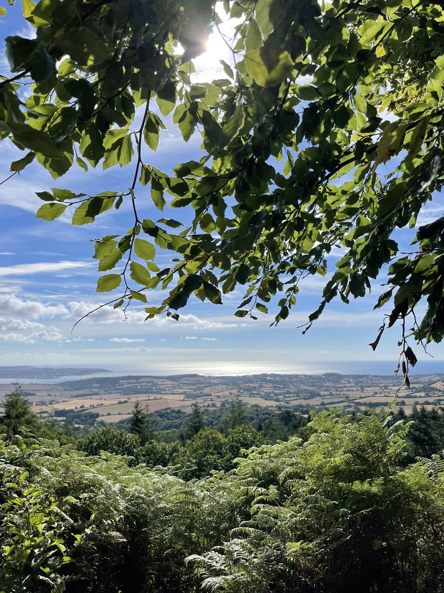 BecBurnett's tweet photo. Good for the soul ☮️ part 2 https://t.co/xdzIV1Ri8o