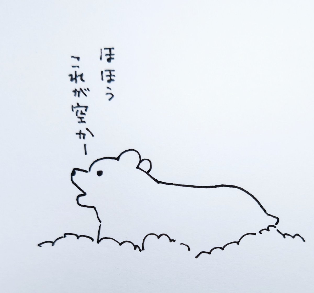 雲が生き物に見えると嬉しい。
とても巨大熊だった。 