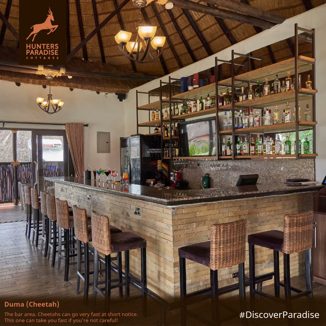 HuntersCottages's tweet photo. We aim to always provide you with the best services, and highly value everyone that walks through our doors. Karibu and #DiscoverParadise 

If you want to book a stay with us, give us a call🤳 on +254 715 875 206 / +254 739 601 802#TembeaBungoma https://t.co/YlwwPChddd