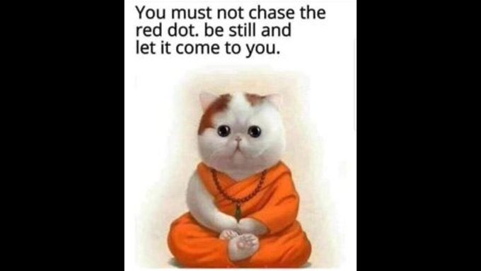 MO8AIC's tweet photo. Follow Monk Cat’s Example: Be Still. @MO8AIC @annie_kat_37 #mo8aic #Spirituality #Spiritual #spiritualawakening #joke #spiritualjoke #laugh #laughteristhebestmedicine #Laughter #happiness #bestill #still #letitcometoyou #itsyours #FYP #motivation #Inspiration #CatsofTwittter #you https://t.co/SSPc4P4s95