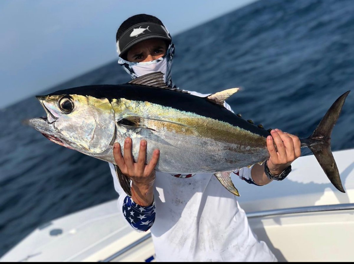 HookandTackle's tweet photo. Beautiful TUNA
#hookandtackle #fishingapparel #fish #fishin #fishing #angler #fisherman #fishinglife #tuna #tunalife #tunafish #tunafishing https://t.co/TTQpS3NF07