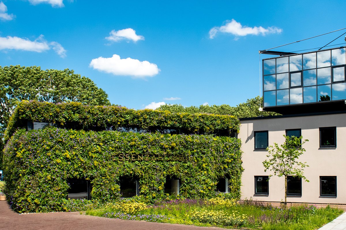 Interior and lifestyle brand ESSENZA HOME has moved into a new, completely renovated, and sustainability-oriented office. The green façade from Mobilane contributes to the company’s sustainability. 🌱💚

#sustainability #biodiversity #greenwall #livingwall #verticalgarden