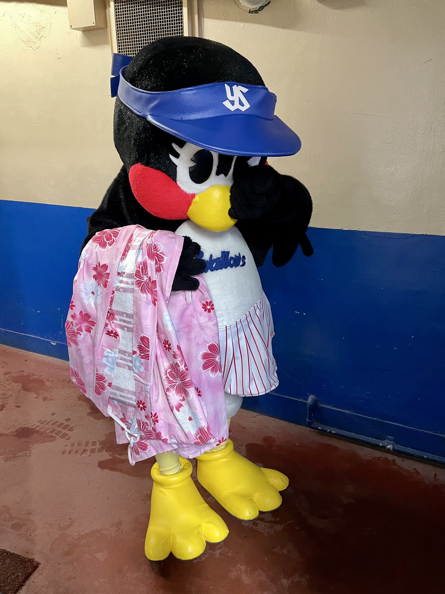 ヤクルトスワローズ　つばみちゃん はいつばみちゃんに質問です】 以前いただいていた質問に（いま