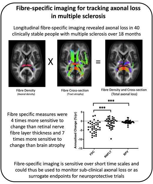 Kolbe et al. report changes in fibre-specific diffusion MRI measures in 40 clinically stable people with multiple sclerosis  over only 18 months and significantly greater sensitivity compared with retinal nerve fibre loss and brain atrophy. bit.ly/3OX20FU <a href="/scott_kolbe/">Scott Kolbe</a>