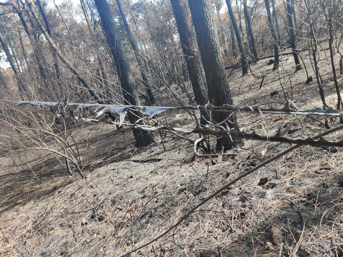 Toujours sur la brèche, nous sommes sur les zones ravagées par les flammes des incendies de La Teste et de Landiras, afin d'évaluer les dégâts et commencer les réparations pour que nos clients soient rétablis au plus vite. #UISO  #HerosDuReseau <a href="/olivierdefosse/">Olivier Defosse</a>  <a href="/OrangeNvAquit/">Orange Nouvelle Aquitaine</a>