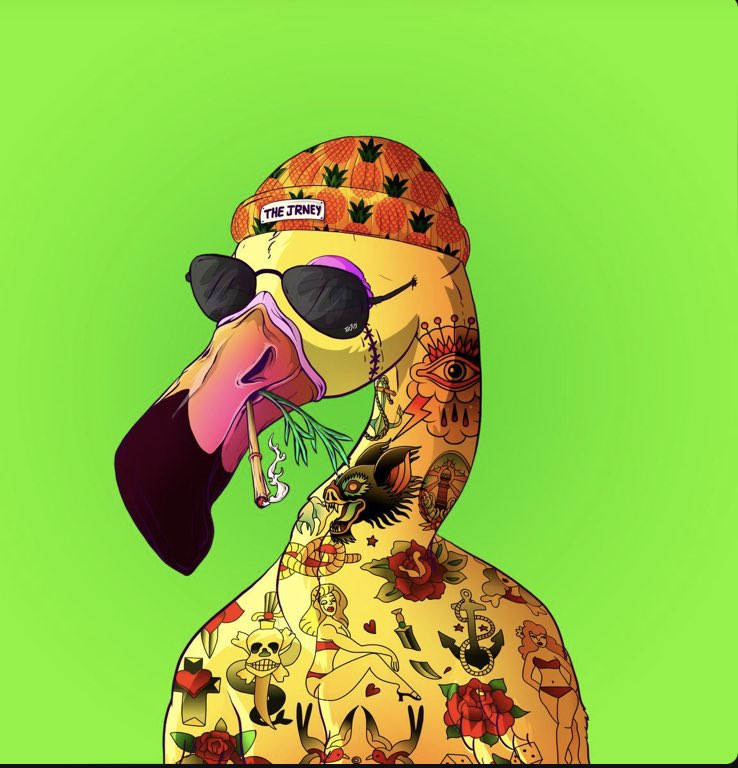 MoonBag_'s tweet image. These are pretty great looking  🦩 @TheJRneyNFT 

#Cardano #ADA #NFT