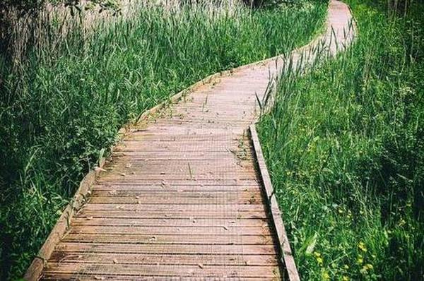 Creativ_Portal's tweet image. Лучшие материалы для устройства садовых дорожек 2022 👍
На любом дачном участке или в загородном доме присутствуют садовые дорожки. Они являются главным эле #Новинки  #Садовые #Рейтинг #обзор

creativportal.ru/luchshie-mater…