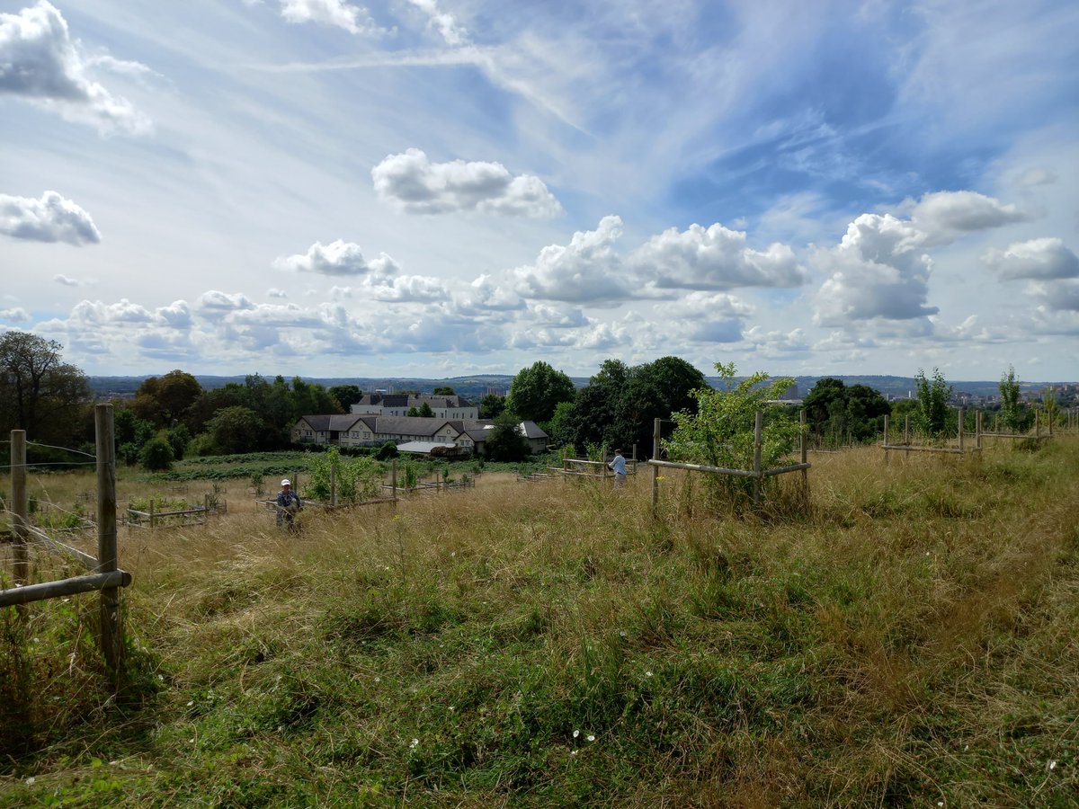Thanks Lockleaze Green Gym team for your help at Stoke Park orchard today, preparing the site for winter pruning. A great spot for a view over Bristol!