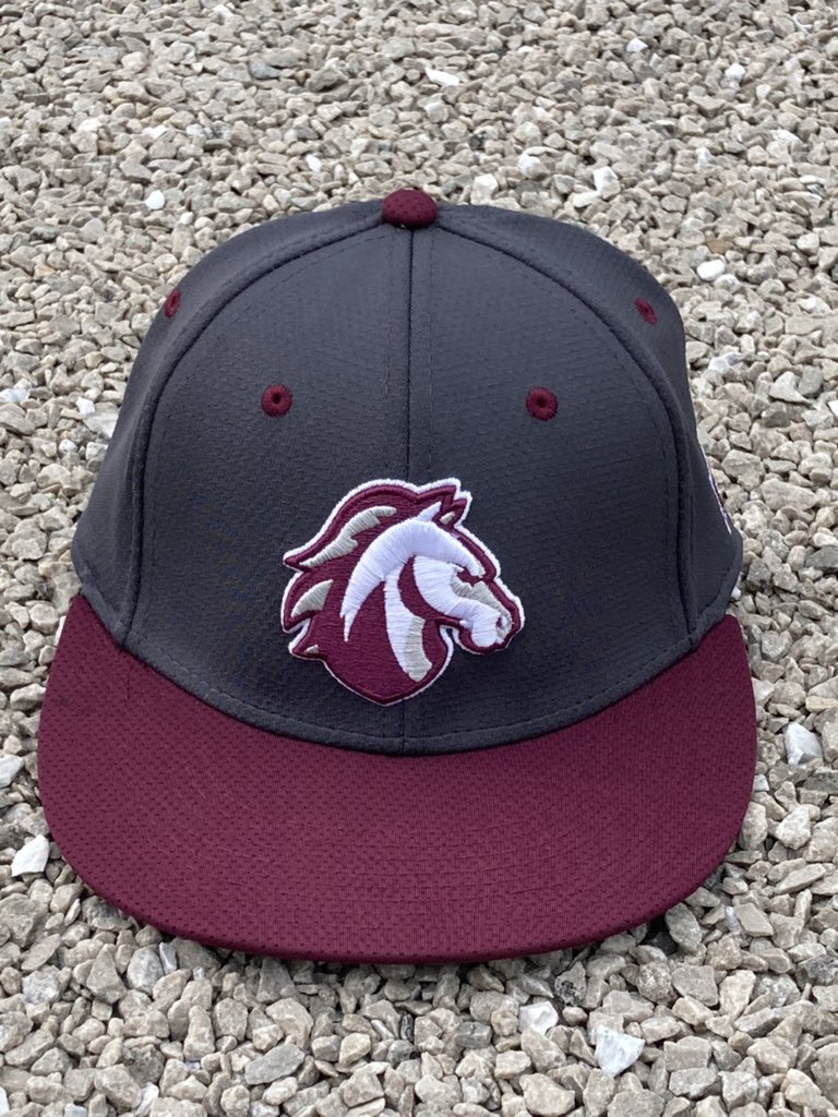 Evangel Baseball tweet media
