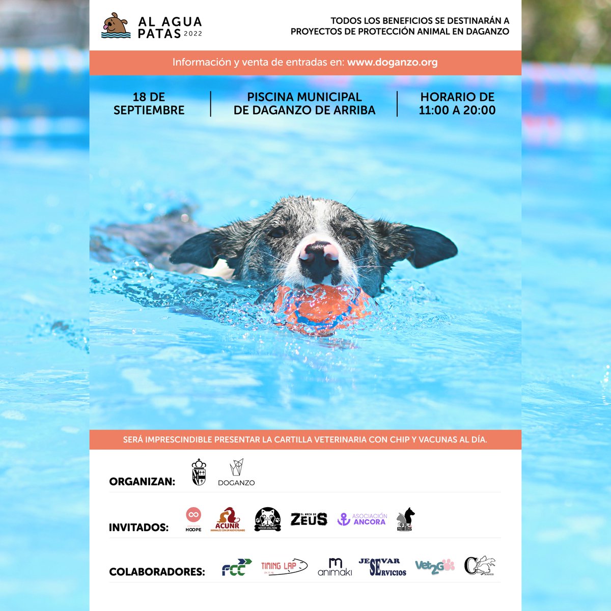 asoc_doganzo's tweet photo. Por octavo año vuelve... ¡Al Agua Patas!
Ya podéis comprar vuestras entradas on-line en el link de la bio ⬆⬆
¡Nos vemos el 18 de septiembre!
#alaguapatas #alaguapatas2022 #piscina #perros #daganzo #doganzo #diadepiscina #piscinacontuperro #protectoras #colaborar #fila0 https://t.co/uIlbQUm7mb