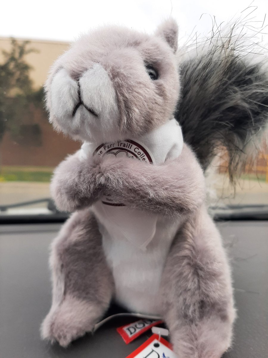 The Traill squirrel - caught on camera!