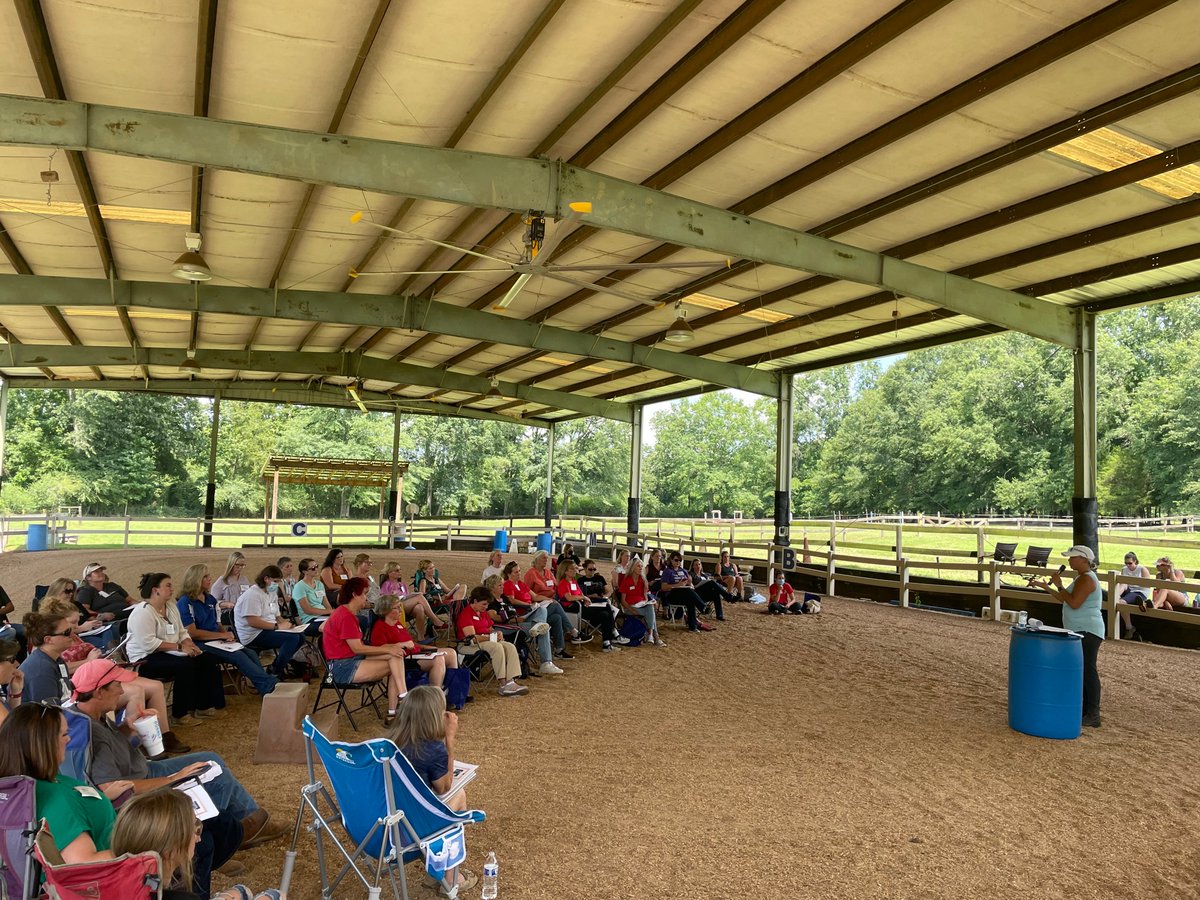 SpecialEquest's tweet photo. Check out what's going on at the barn in our Special E News August - https://t.co/OOu3unOk0d https://t.co/NSaJ6wHXYF