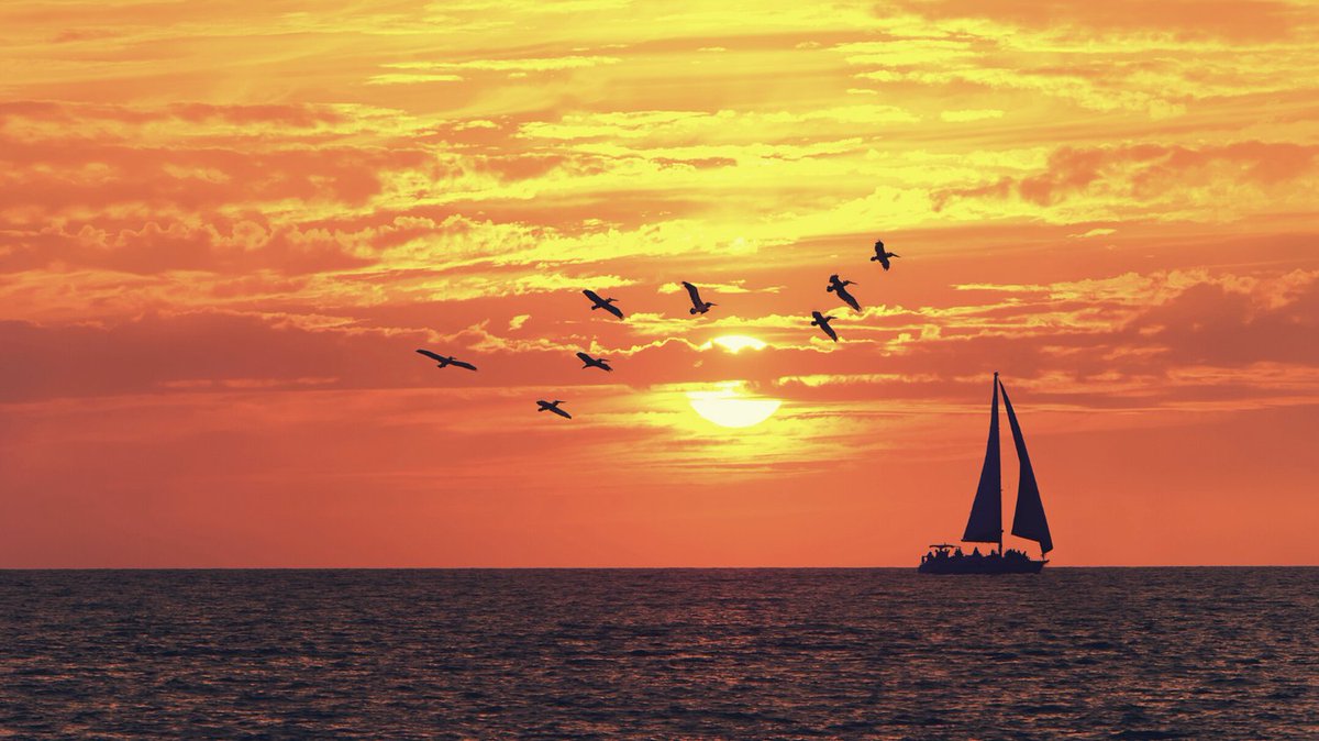 Cash flow issues cause 8 out of every 10 business failures. 😱

Read about the 5 steps that #smallbusiness owners can take to manage their #cashflow more effectively on our blog.

jmhca.com/5-steps-small-…

#smoothsailing #yourpartnerinfinancialsuccess