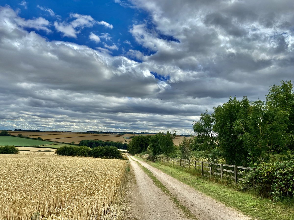 Down The Farm Track. 21°C Sunshine and Cloud. Swifts preparing to leave