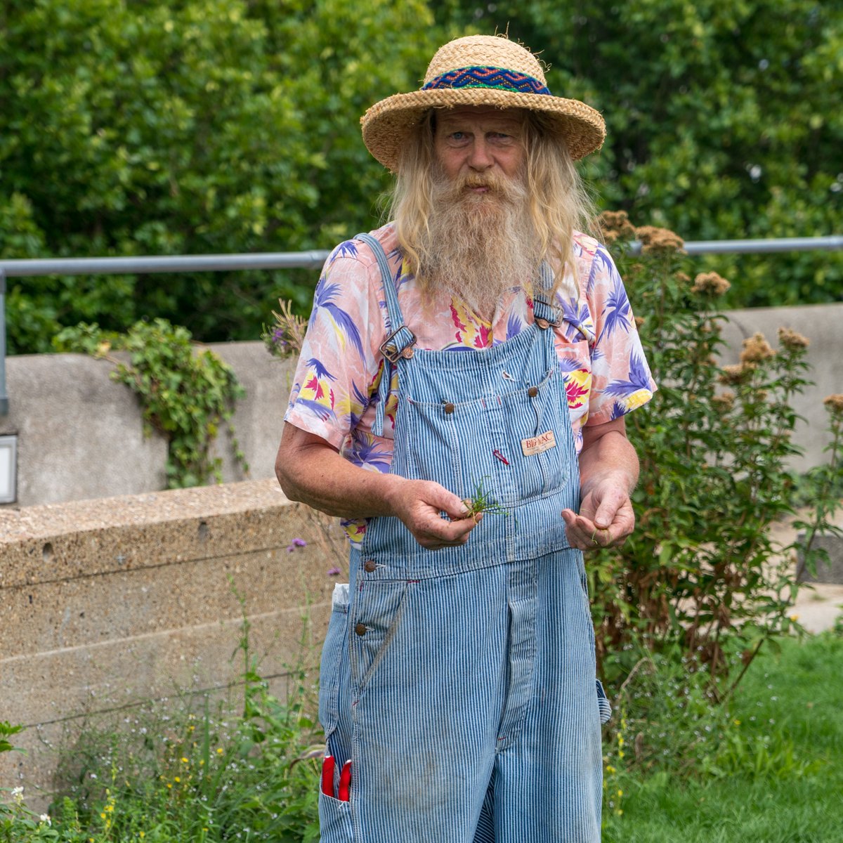 southbankcentre's tweet photo. "During lockdown the garden largely died... just look at it now..." 🌱🌿🌾🌼🌺🌳 Thank you to all who attended Head Garden Paul Pulford's tours, tastings &amp; plantings on our beautiful Roof Garden 

The garden is open for free for all to enjoy...
⏰ from 12pm 
📆 Wed - Sun (1/4) https://t.co/j9d46fJYuh