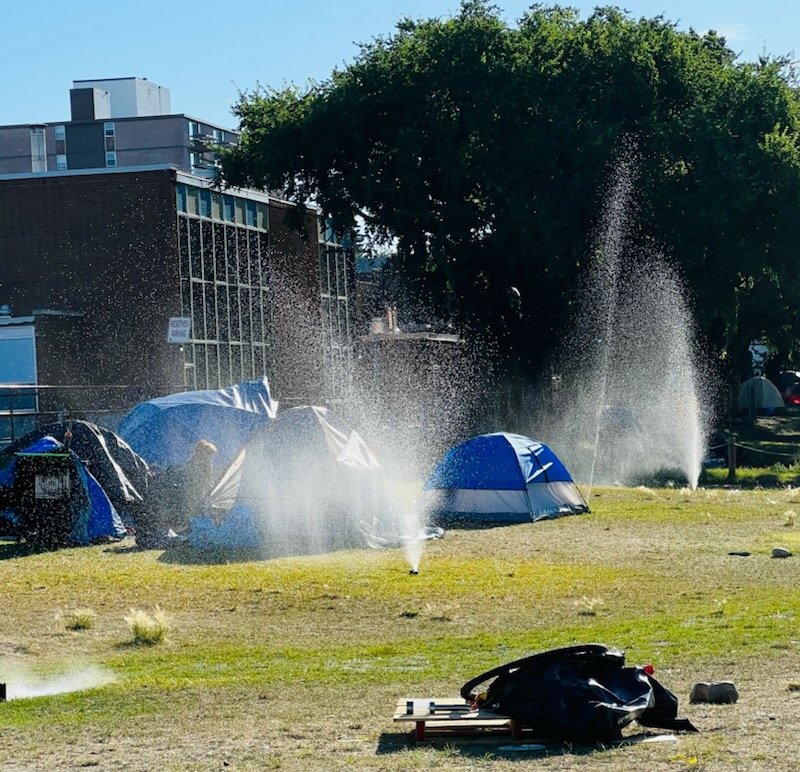 Hey <a href="/LethbridgeCity/">City of Lethbridge</a> &amp; <a href="/lethpolice/">Lethbridge Police</a>;

Is this what you meant by "Compassionate removal"? Convenient it happens today when the media isn't around.

#abpoli <a href="/SPhillipsAB/">Shannon Phillips 🇨🇦🇨🇦🇨🇦</a> <a href="/kim_siever/">Kim Siever</a> #Compassionate