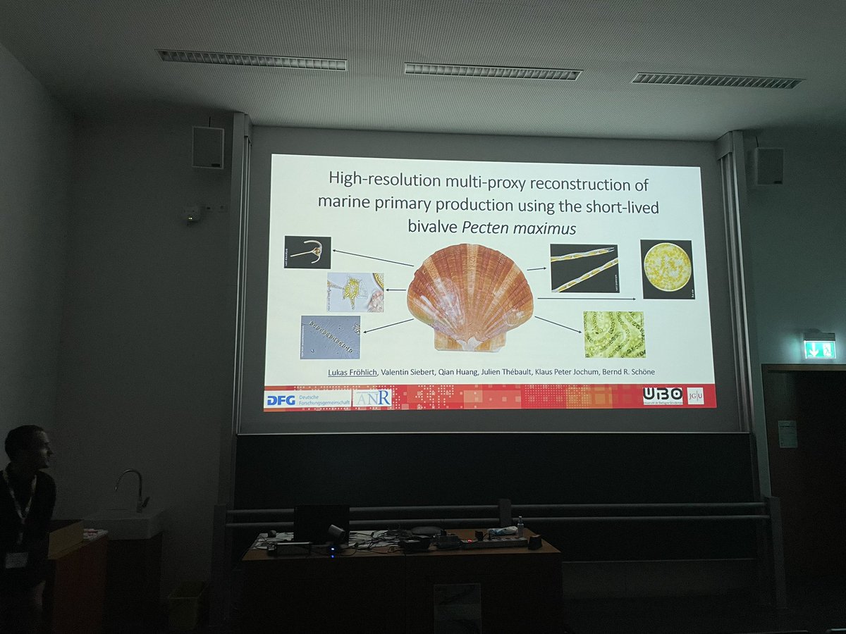 Did I mention before that bivalves are unique and they always have something unique to show?? 🥹😍🦪Great talks on bivalves sclerochronology at the ECO session in #WCM2022