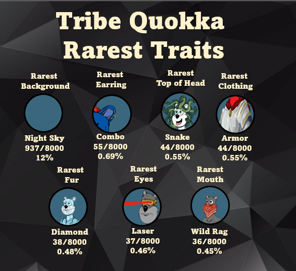 Tribe Quokka tweet media