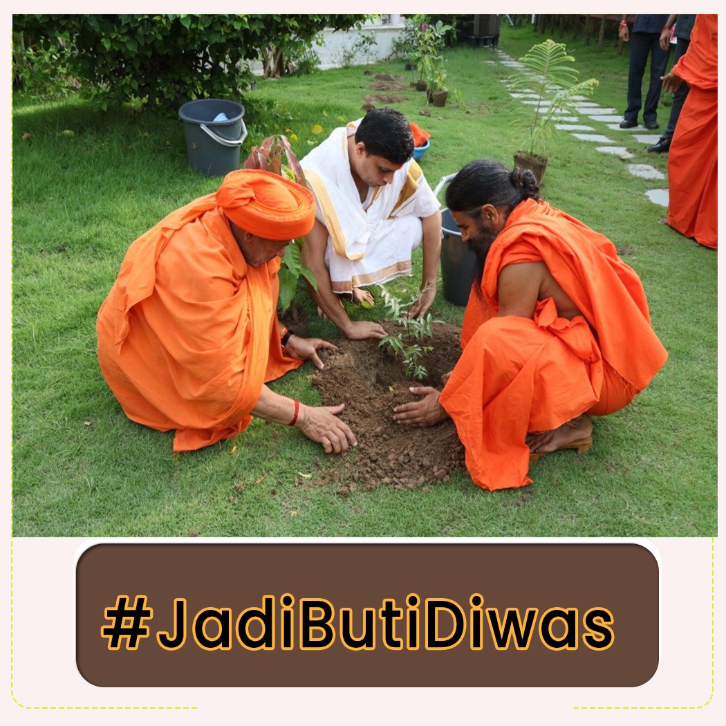 हम परम पूज्य श्रद्धेय आचार्य श्री के जन्म दिन को जड़ी-बूटी दिवस के रुप में मनाते है क्योंकि श्रद्धेय आचार्य श्री का जन्म ही जड़ी-बूटियों का गौरव बढ़ाने के लिए और इस पूरे विश्व में आयुर्वेद की प्रतिष्ठा करने के लिए हुआ है।
#जड़ीबूटीदिवस #JadiButiDiwas