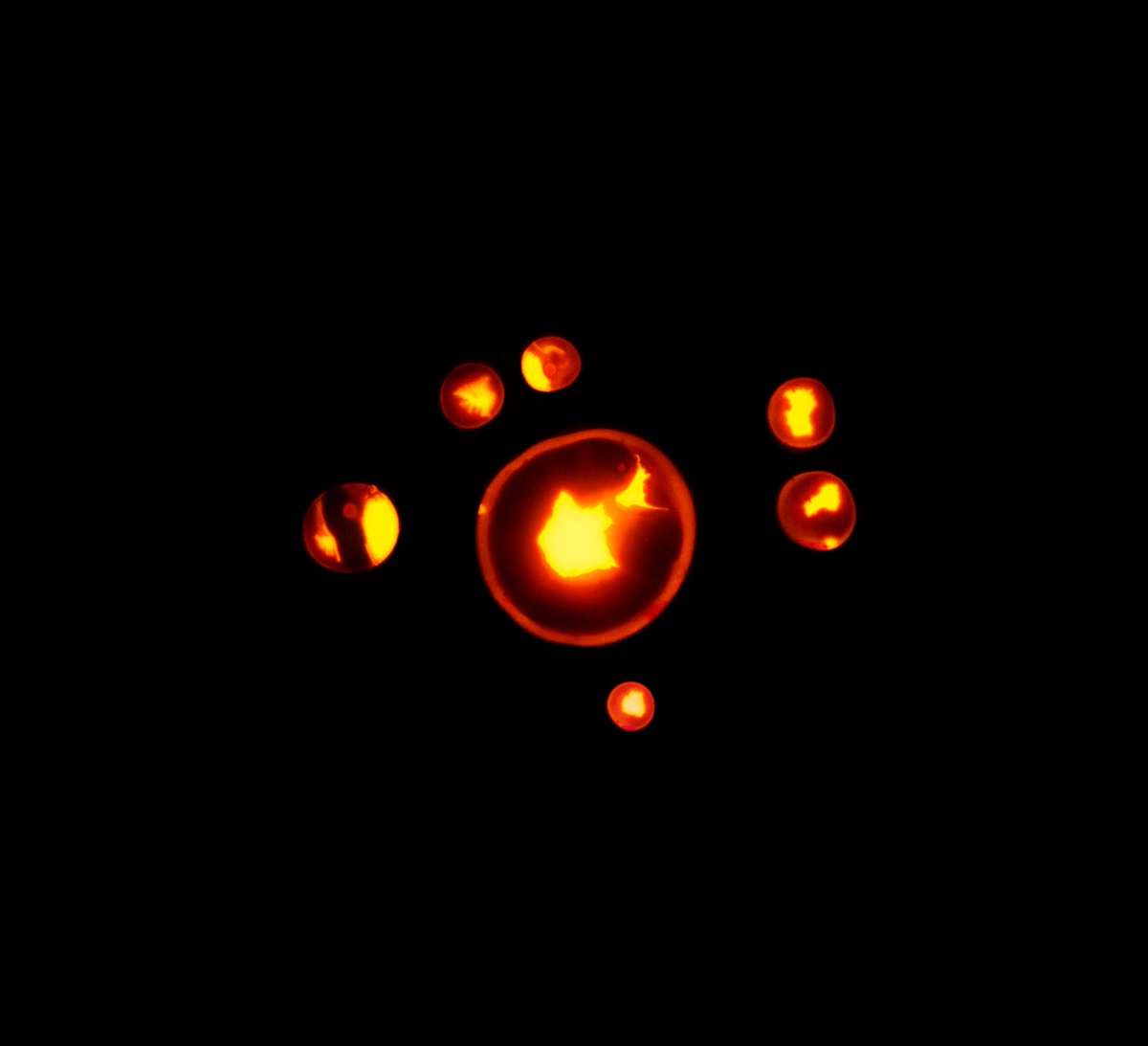 There's only one <a href="/UVioletArt/">Haematopoiesis by RUBEN®</a> cell listed out of 282 . . . and it has a rare trait . . . these photos rock!