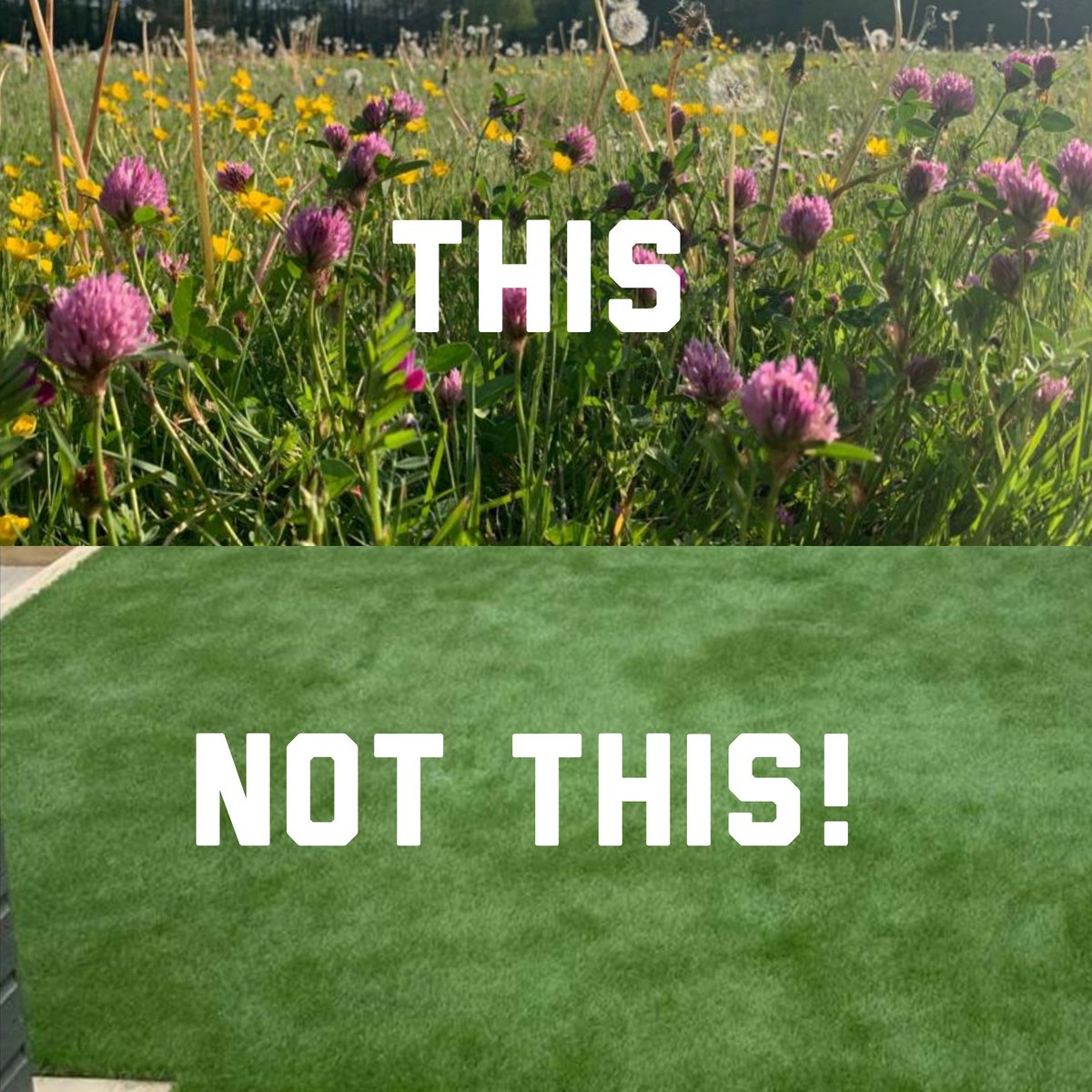 I am not giving up on my petition to tax plastic grass for its ecological damage. 1 week to go and I need everyones help to get to 100,000 petition.parliament.uk/petitions/6082…