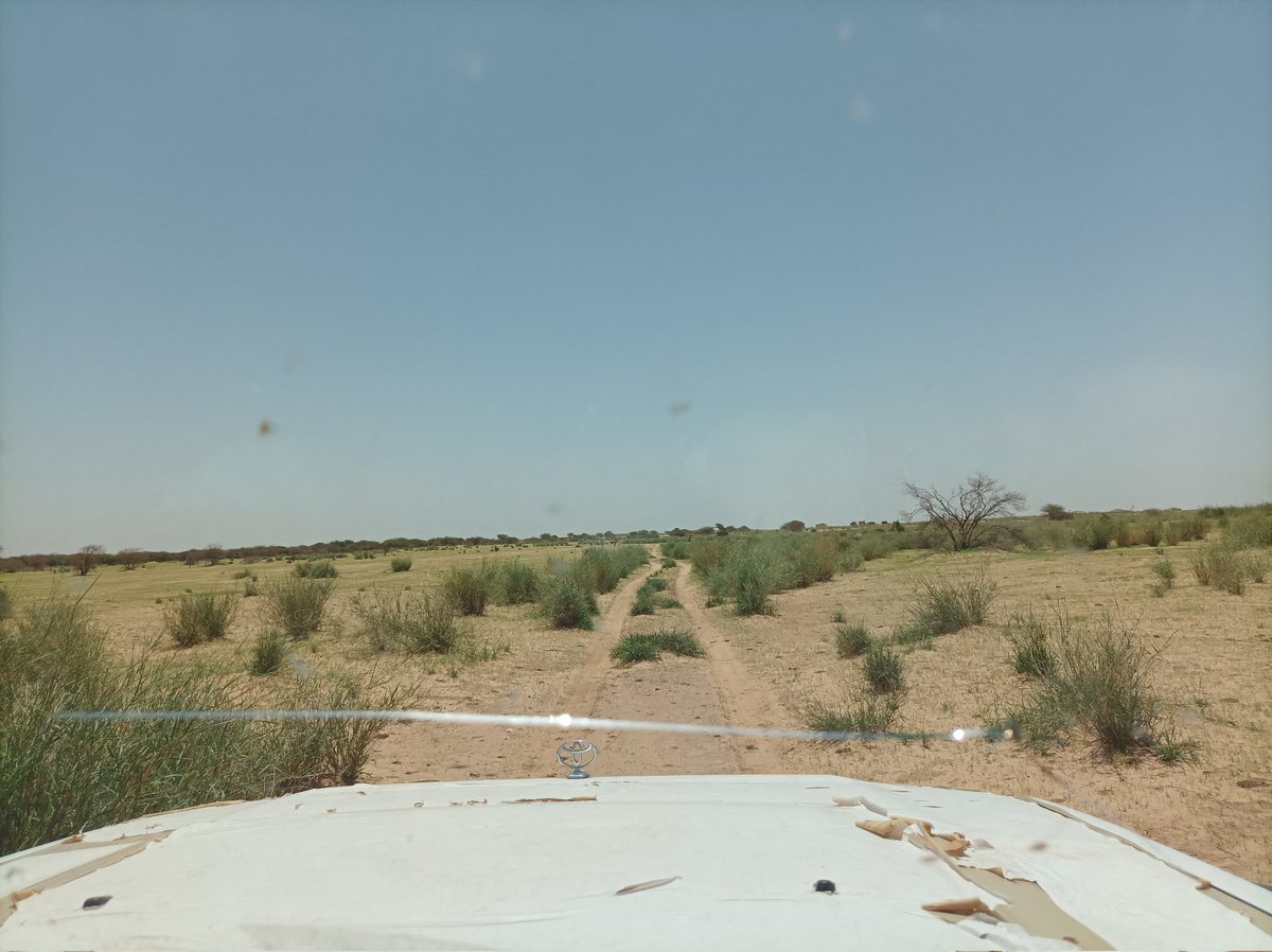 InZawnaker's tweet photo. #Azawad
Tin-Azaben 

#Alata #Tamasna #Agala #Sahel #Sahara #Ténéré #Désert 🏜️📷 https://t.co/nG7omKEqfz