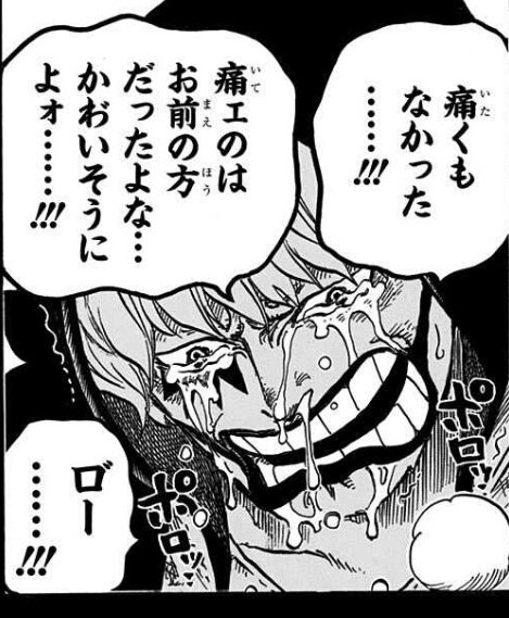 ワンピース イケメンキャラをランキングで紹介 人気度や強さは 4ページ目 Selvy