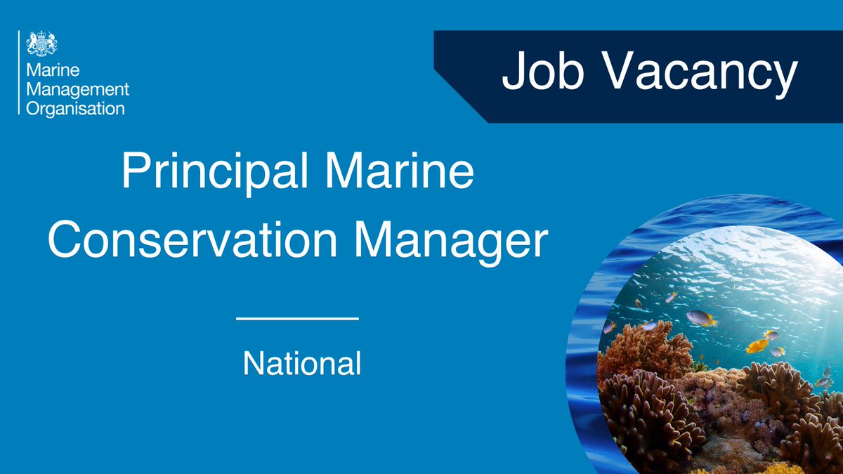 The_MMO's tweet photo. Join our team...

As a Principal Marine Conservation Officer to lead in exciting &amp; important areas of the MMO's work in shaping the seas for future generations.

Apply here before 22/08/22 ➡️ https://t.co/u98EKYkTJd

🌊  #MMOjobs #recruiting #jobs #marine #environment https://t.co/STFY1YXUgm
