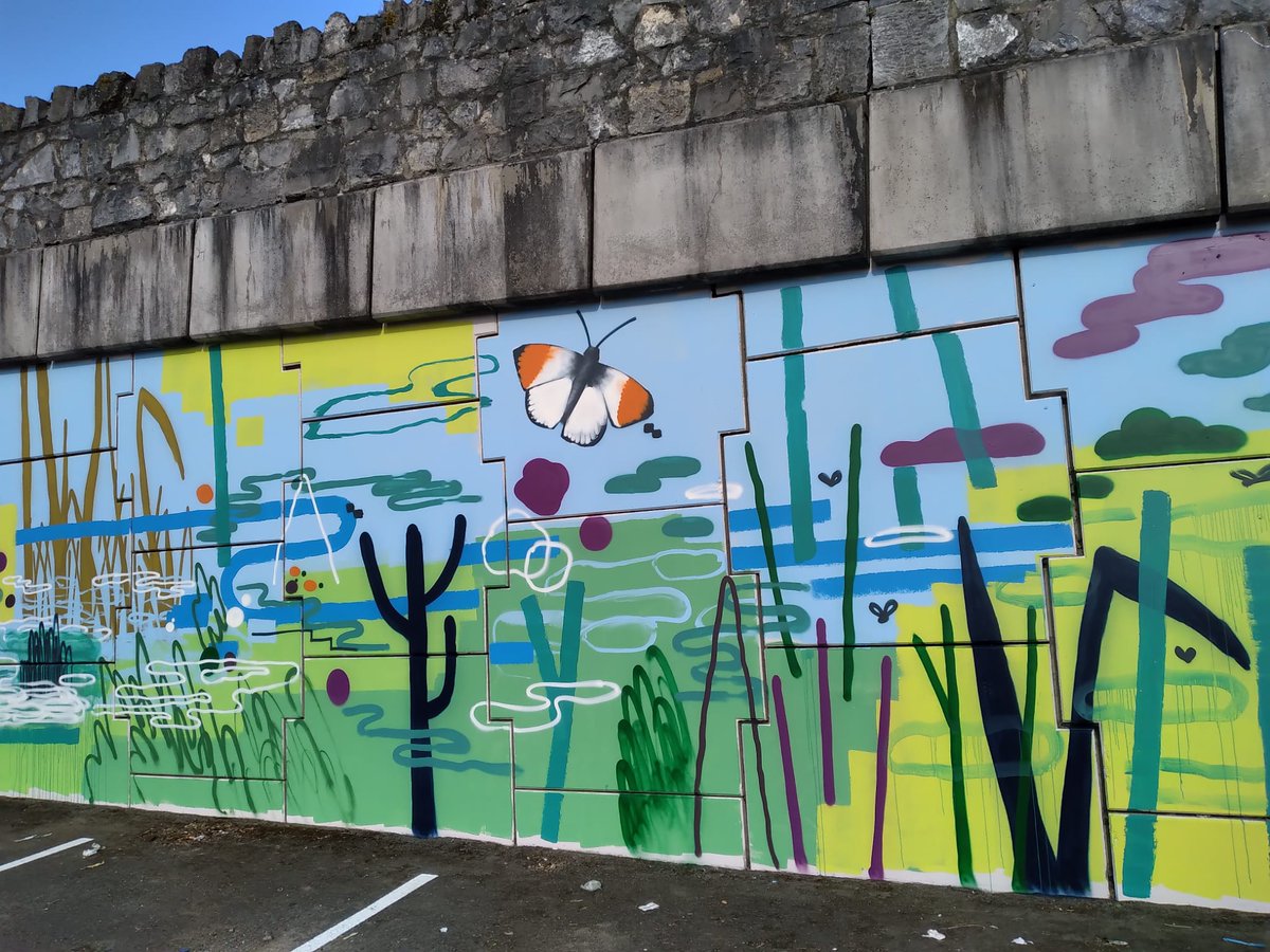 Tá teachtaireacht amhairc láidir maidir le bithéagsúlacht ar taispeáint anois i stáisiúin Iarnród na Sollán agus an Náis, mar thoradh ar chomhpháirtíocht idir Iarnród Éireann agus Bailte Slachtmhara na Sollán.