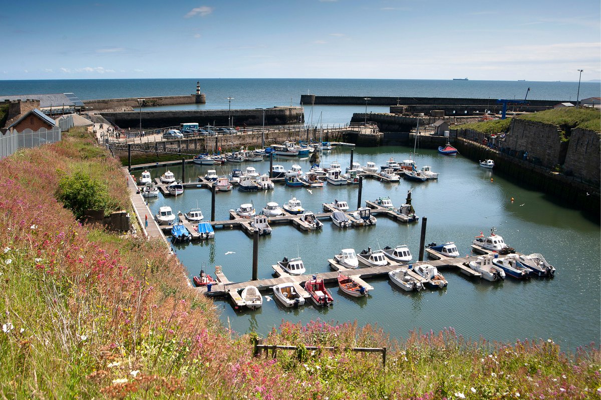 ThisisDurham's tweet photo. "Oh we do love to be beside the seaside, oh we do love to be beside the sea" 🏖️🛥️🌞🍦🦀
#lovedurham #seaham #durhamcoast #durhamheritagecoast #northeastcoast #northeastengland #COAST2023 https://t.co/Bmqi7JSmJY