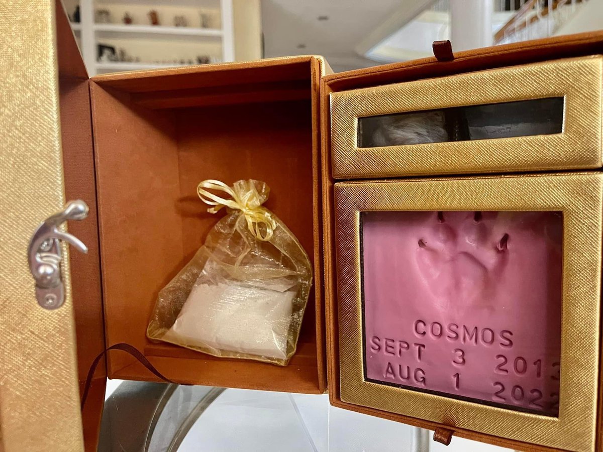 DrTonyLeachon's tweet image. We’ll say goodbye as you peacefully go to dog heaven. Our hearts will always wear the paw prints left by you and our furry friends who have gone ahead of you. We will miss you Cosmos. ❤️❤️🥰🐶🐾🐾. Till we meet again. 
#loveanddevotion #dogheaven #furryfriends #🙏🐾